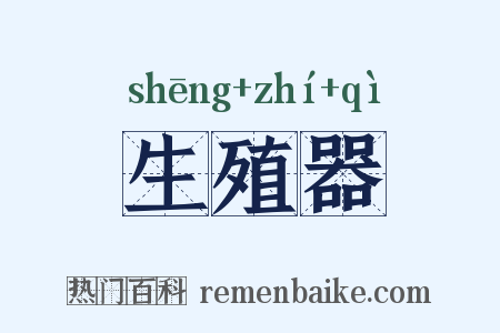 生殖器是什么意思的图片